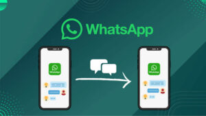 WhatsApp 回覆对话记录